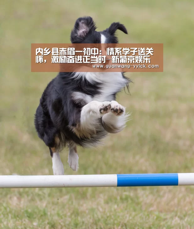 内乡县赤眉一初中:情系学子送关怀,激励奋进正当时-新葡京娱乐官网(图2) 新葡京娱乐官网